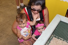 IMG_0090
