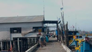 Gawat! Tangkahan Ikan Saiful Diduga Jadi Lokasi Bongkar Muat BBM Ilegal