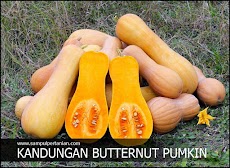 Kandungan nutrisi Labu madu atau Butternut pumkin (Cucurbita moschata)