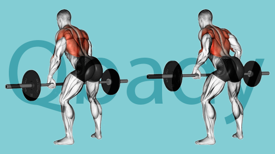 Bent-over barbell rows