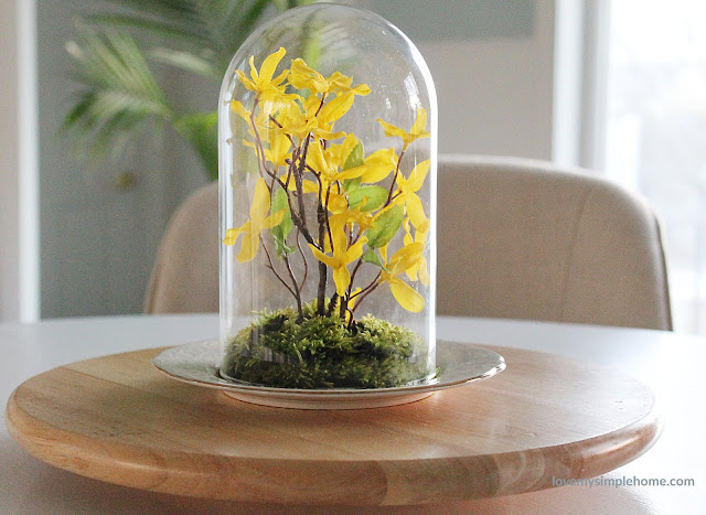 cloche-idea-for-spring-lovemysimplehome.com