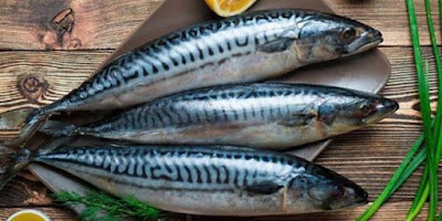 Tidak Kalah dengan Ikan Lain, Berikut 7 Manfaat Ikan Sarden untuk Kesehatan