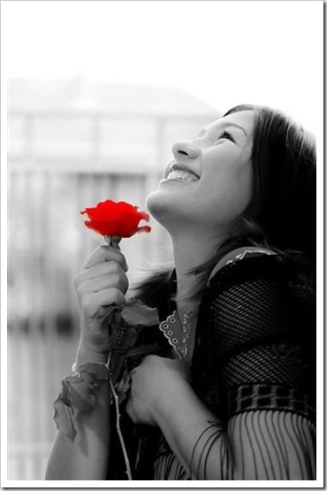 rosa