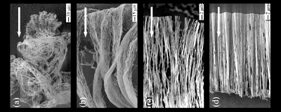 article:'Electric field can align silver nanowires', at http://www.physorg.com/news67079834.html 