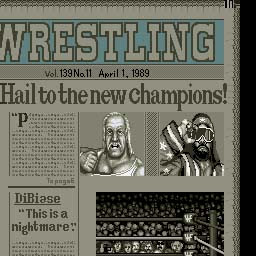 WRESTLING Vol. 139 No. 11 April 1, 1989 - HAIL TO THE NEW CHAMPIONS!  DiBiase - This is a Nightmare!