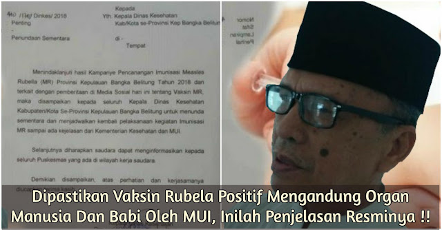 Dipastikan Vaksin Rubela Positif Mengandung Organ Manusia Dan Babi Oleh MUI, Inilah Penjelasan Resminya !!