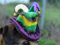 Mardi Gras Greetings