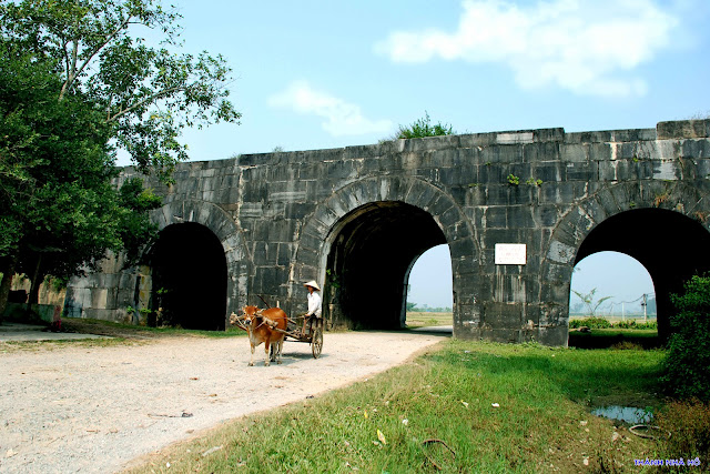 cho thuê xe ở tại Thanh Hóa-Thành nhà Hồ