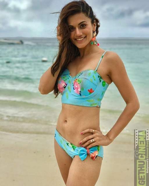taapsee pannu images free download age saree hot bikini hot images photos pics age family sister husband getty hd  actress bollywood most
