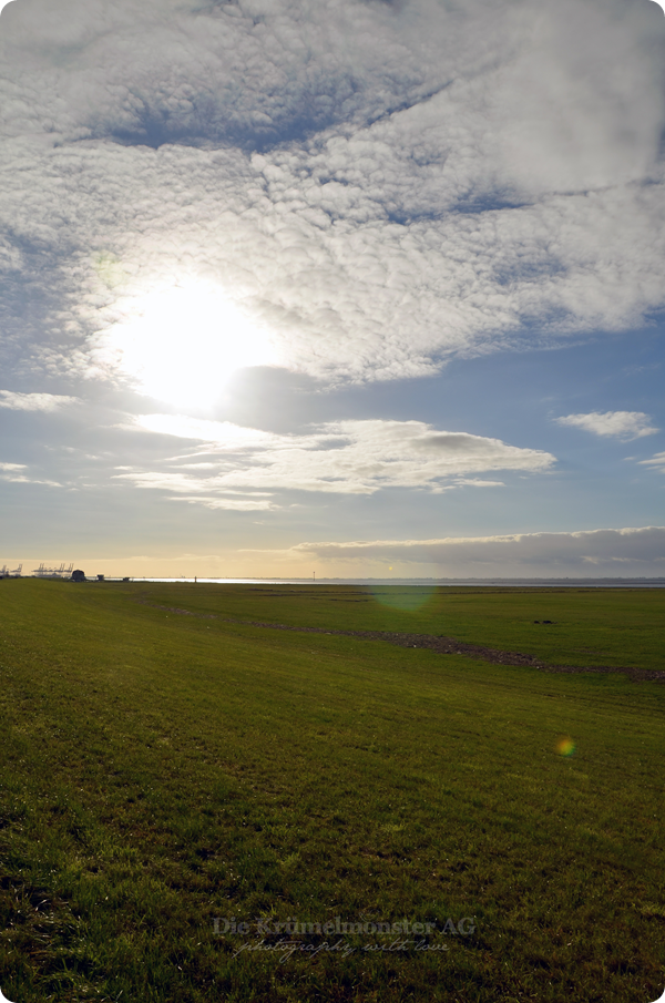 Spaziergang durch Wremen 241113 (47)