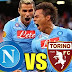 Match Highlights Liga Italia : Napoli vs Torino 2013