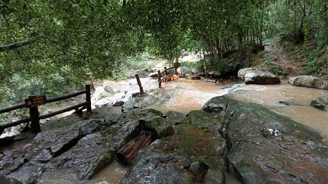 flowing water in the park