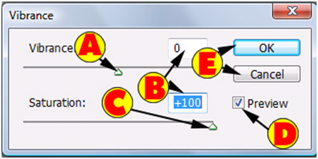 Vibrance Dialog Box