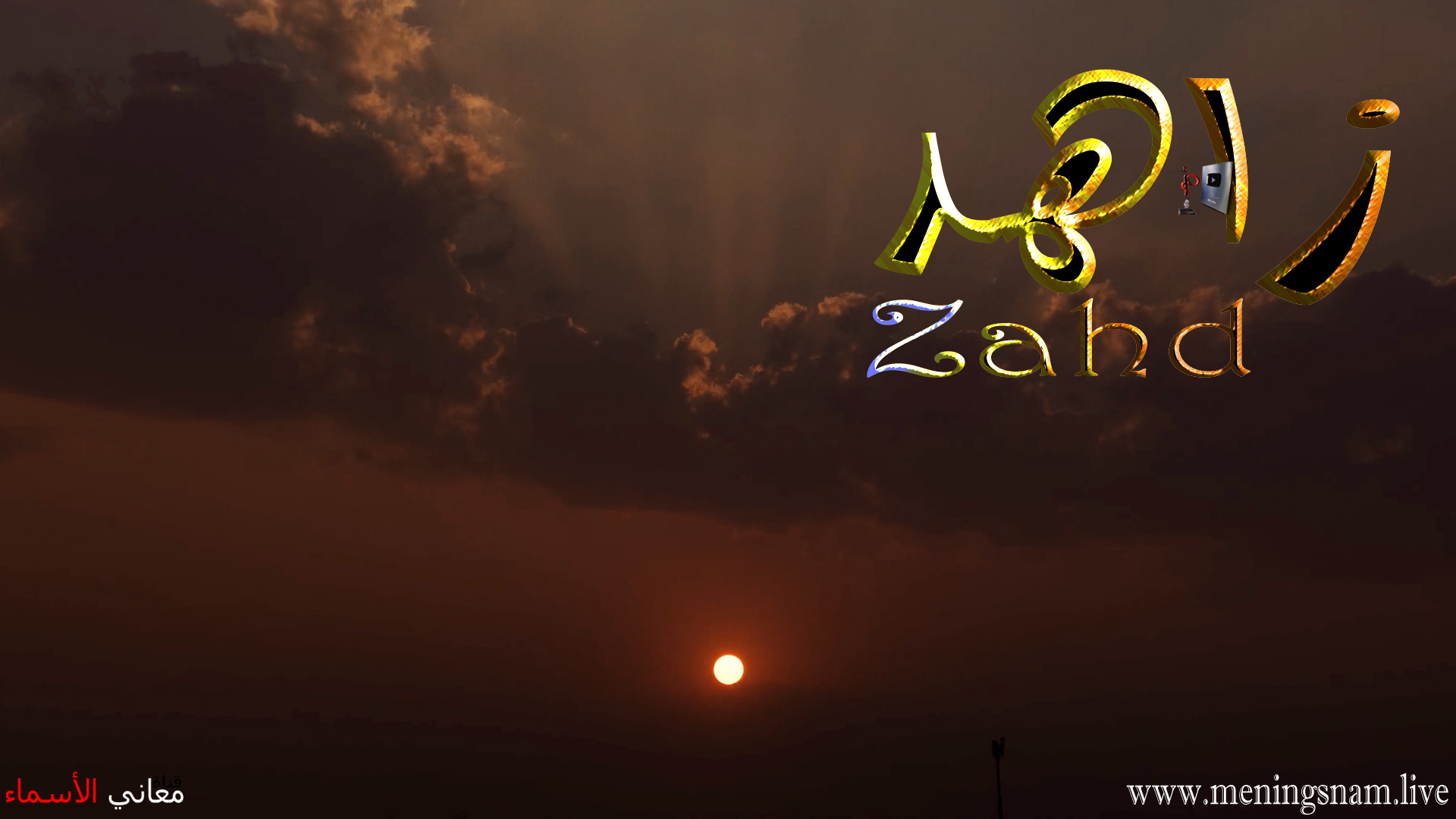 معنى اسم, زاهد, وصفات, حامل, هذا الاسم,  Zahd,