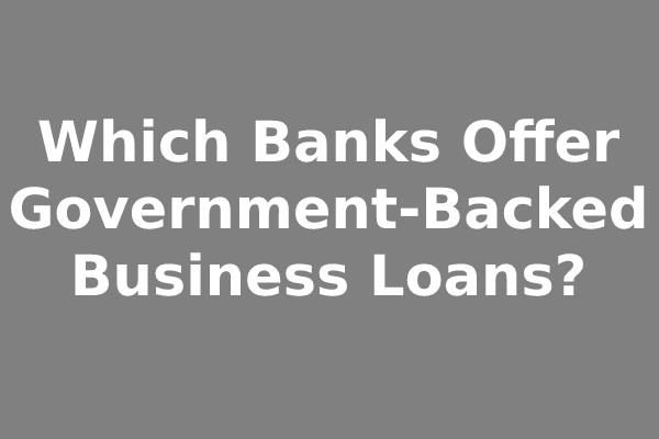 Which Banks Offer Government-Backed Business Loans?
