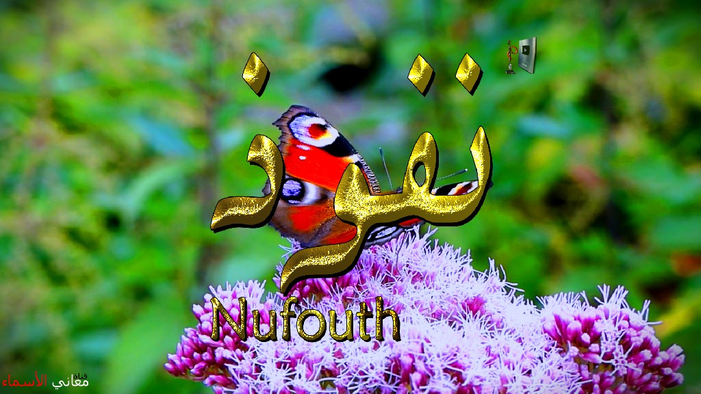 معنى اسم, نفوذ, وصفات, حاملة, وحامل, هذا الاسم, Nufouth,