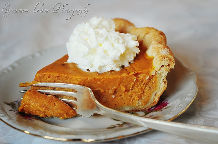 pumpkin pie