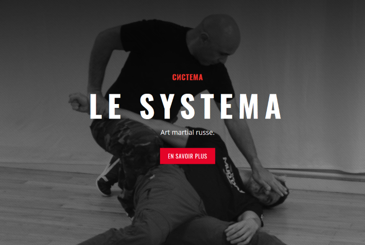 https://systema-amr.com/