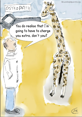 Funny cartoon in which a giraffe visits an osteopath, and has to pay extra...