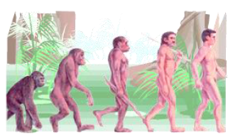 HEREDITY AND EVOLUTION