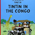 結果を得る Tintin in the Congo (The Adventures of Tintin) Hardcover - 2005 by Herg� (Author) 電子ブック