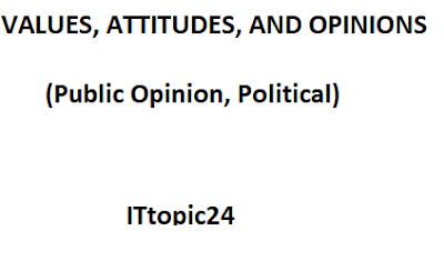 VALUES, ATTITUDES, AND OPINIONS (Public Opinion, Political)