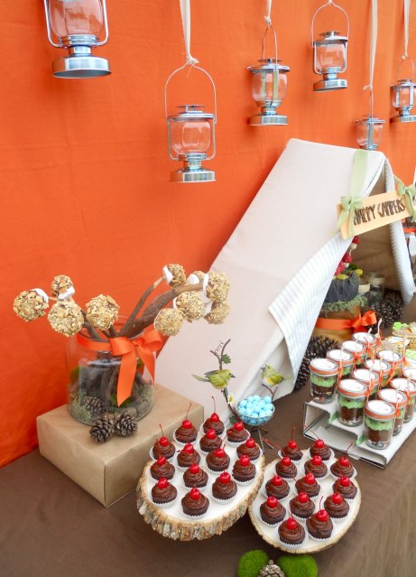 This first Camping Themed Wedding Dessert Table