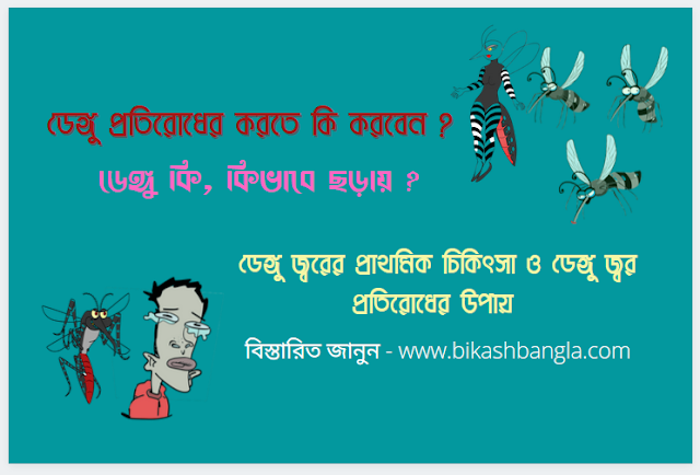 ডেঙ্গু কি what is dengue / কি ভাবে ডেঙ্গু জ্বর ছড়ায় / dengue fever