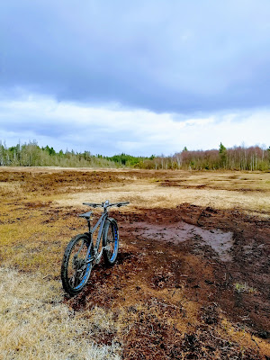 Irish Bog