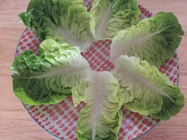 Ensalada de atún naturfresh con anchoas. Poniendo el fondo de la ensalada.