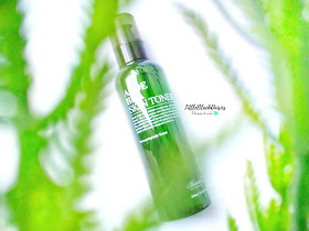 BENTON ALOE BHA SKIN TONER REVIEW