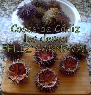 Erizos para la final