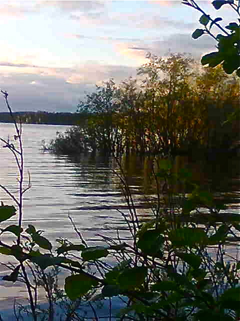 Lake in Lieksa Northern Karelia