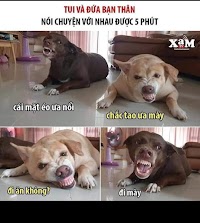 Tui và đứa bạn thân 🤣