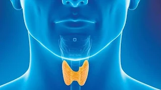 Thyroid Disease