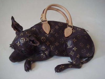 Weird handbag ever Seen On www.coolpicturegallery.net