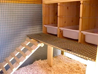 Build a Chicken Coop