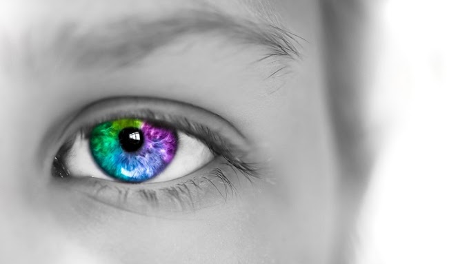 Mastering Adobe Lightroom [100% Off]