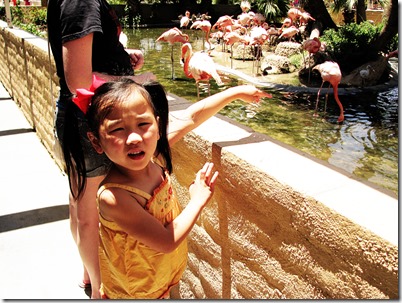 IMG_2141_sunnypop