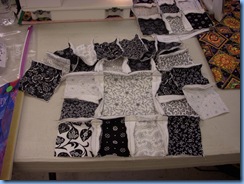 0509 Purse Class 2