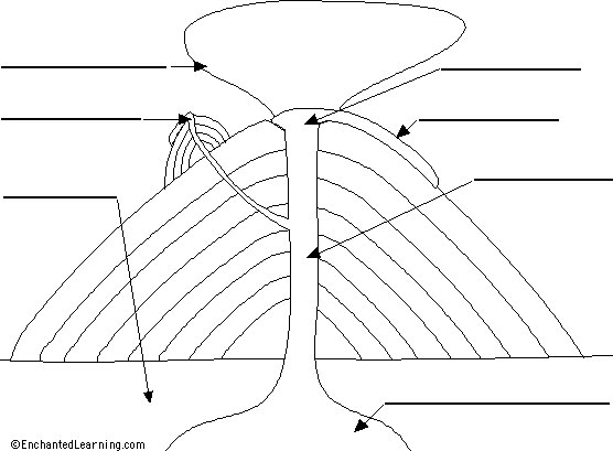 composite volcano diagram. in the side of a volcano.