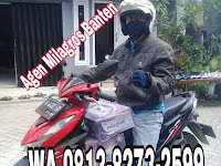 WA 081382732599  Milagros Serang Banten 