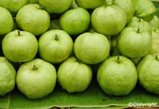 Guava