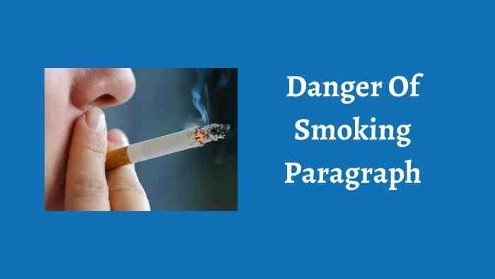 Danger Of Smoking Paragraph
