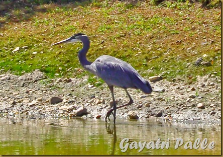 Original_DSC_5691_cropped-2