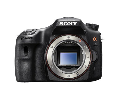 Sony A65 24.3 MP Digital SLR with Translucent Mirror Technology 