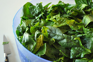 Does spinach affect muscle growth