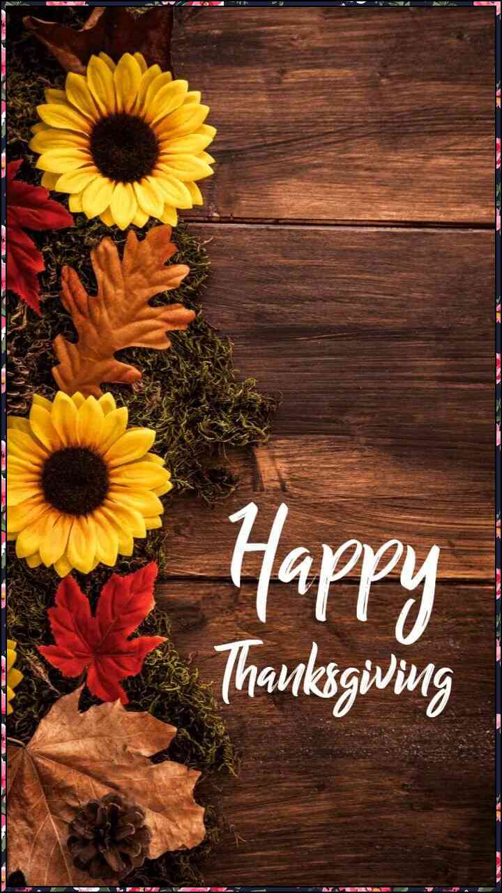 free image happy thanksgiving
