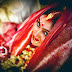 The Blushing Bride: Natasha Chowdhury