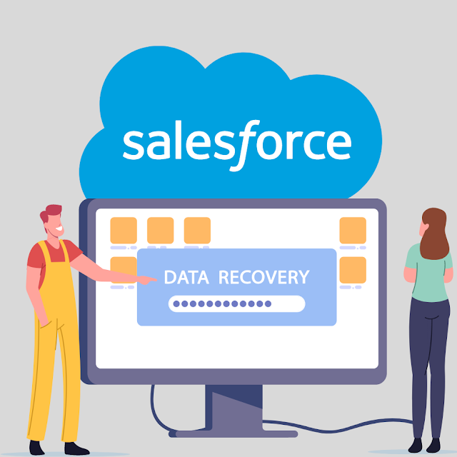 Salesforce data recovery